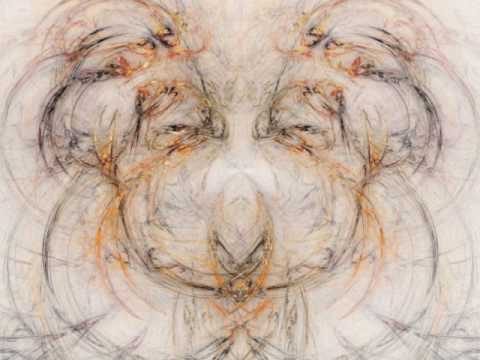 Orca - The Story Teller