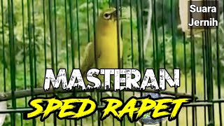 Download lagu Pleci nembak wit wit kenari panjang cocok untuk masteran pleci bahan agar nembak wit wit kenari mp3