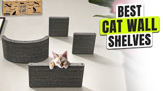 3 BEST Cat Wall Shelves