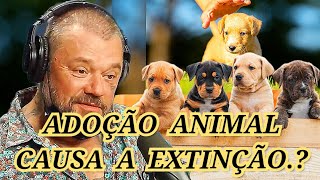 ADOÇÃO ANIMAL CAUSA A EXTINÇÃO.? RICHARD RASMUSSEN. DV CORTES. #animais #richardrasmussen #floresta