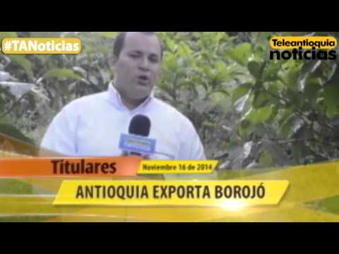 Titulares de Teleantioquia Noticias - domingo 16 de noviembre de 2014 - 7:30 p.m.