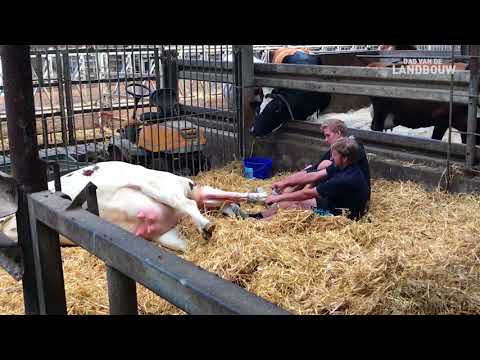 Dag van de Landbouw West-Vlaanderen Latre Desmet 2017