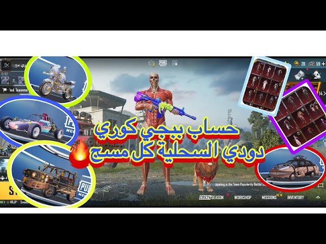 حساب ببجي كورية  m4 كل مسج