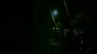 Download lagu story wa tanjung mas ninggal janji mp3