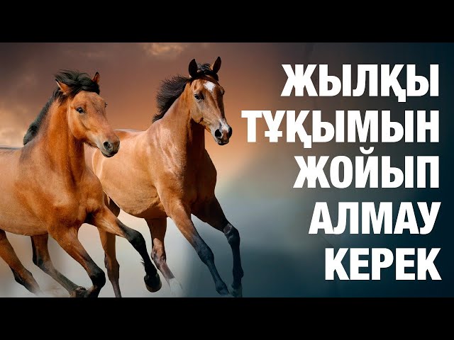 ЖАҢАЛЫҚТАР. 22.05.2024 күнгі шығарылым