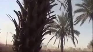 Joy Villa - Surrender