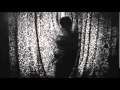 K.D. Lang - The consequences of falling