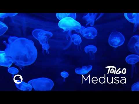 Toigo Music | Medusa
