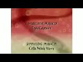 The Wacky Adventures Of Ronald The Monster O McDonaldland Loch End Credits In G Major
