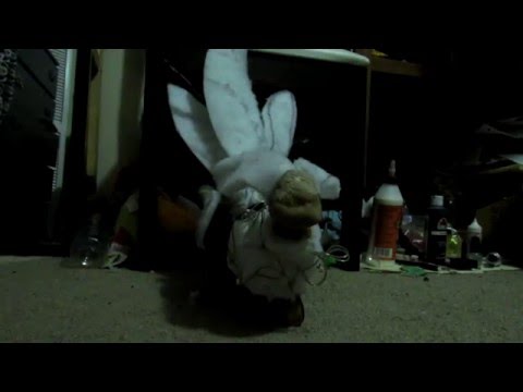 Carbuncle Puppet Progress