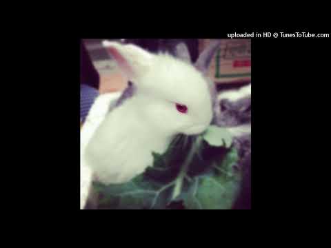 [FREE] scenecore x club x dance type beat "x charm"