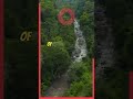 Hiker TRAUMATIZED After This Happens #shorts