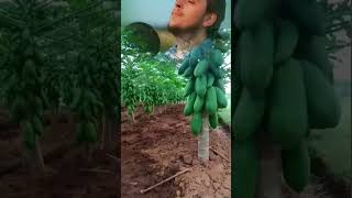 Download lagu Jawa Tengah 🇲🇨🇲🇨 mp3 Download lagu Jawa Tengah 🇲🇨🇲🇨 mp3