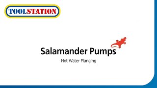 Salamander