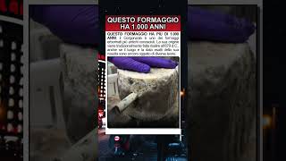 La storia millenaria del Gorgonzola