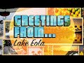 How Lake Eola S Swans Became A Symbol Of Orlando