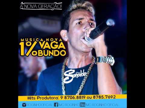 MC ROGINHO - 1% VAGABUNDO - (MUSICANOVA2016)