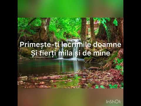 Negativ primește mi lacrimile doamne