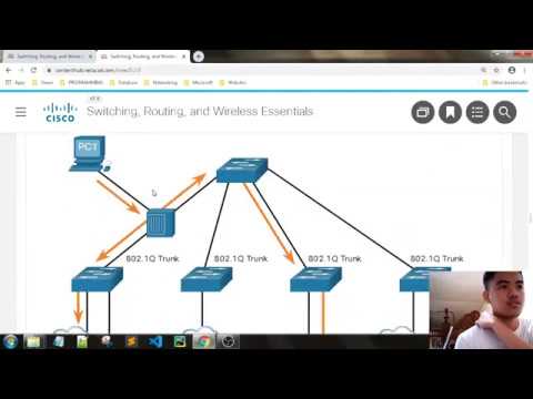 Module 3: VLANs Review