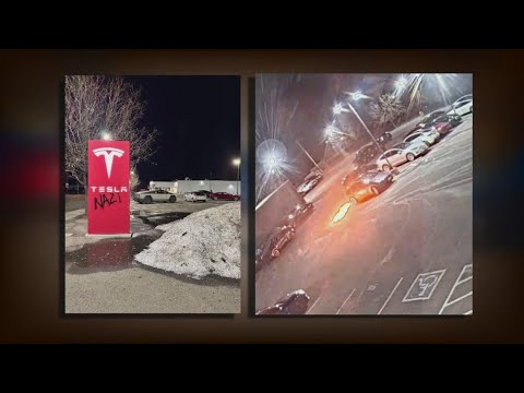 Despite being labeled a 'domestic terrorist,' Tesla vandalism suspect granted travel requests