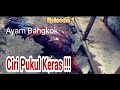 Characteristics Of Good Bangkok Chicken Eps 1