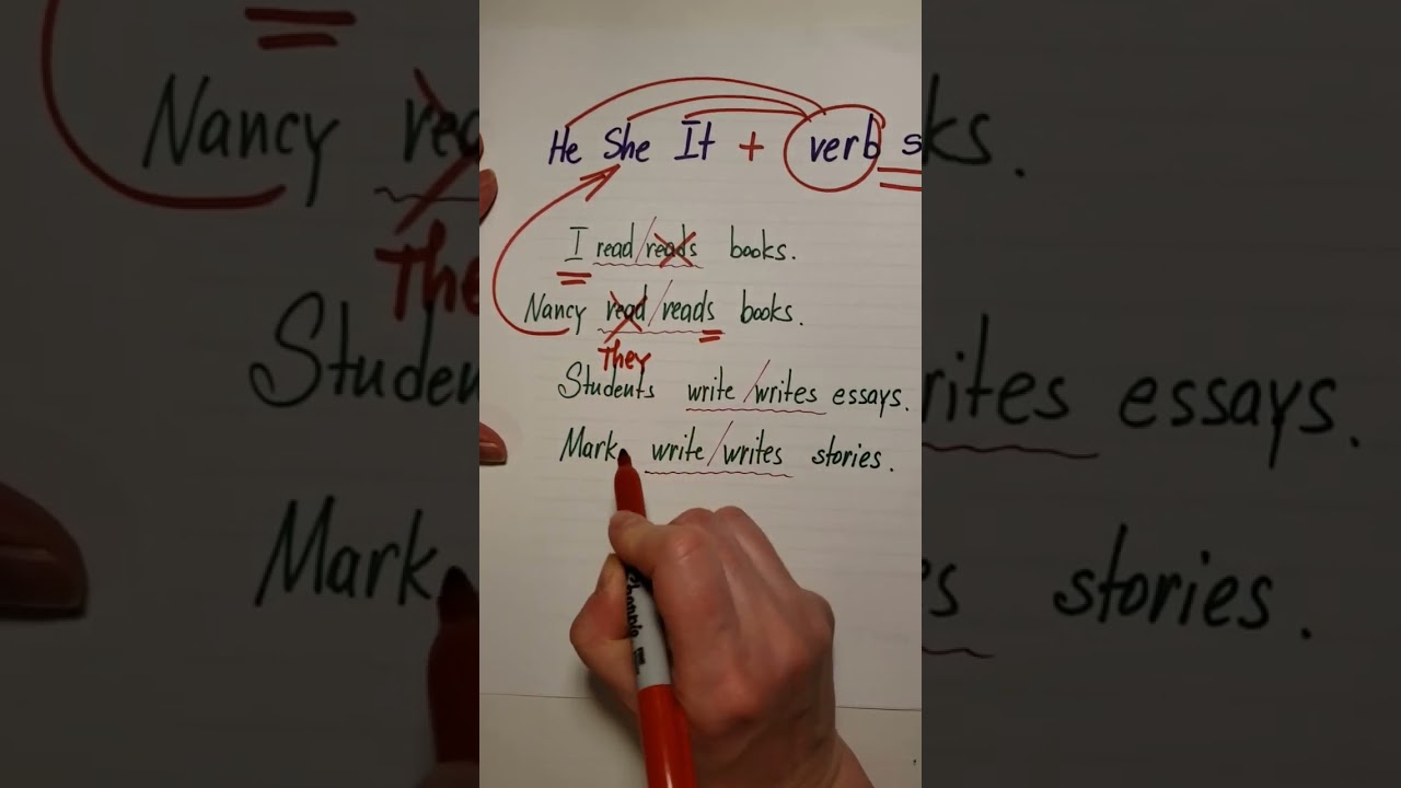 3rd Person Singular #english #learnenglish #englishgrammar #easyenglish #americanenglish #3ps
