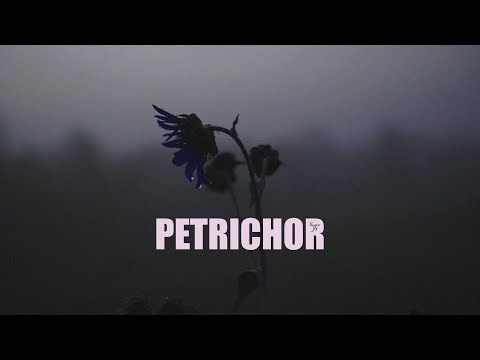 Petrichor - Kimarie Sky