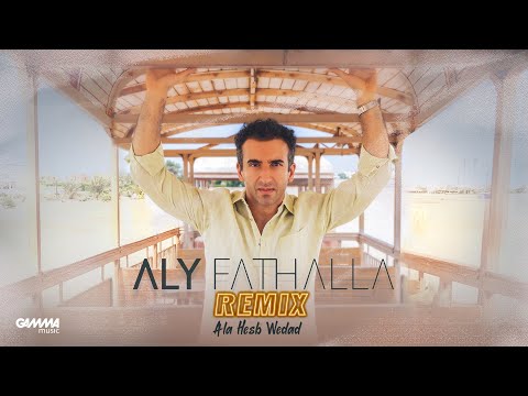 Aly Fathalla - Ala Hesb Wedad Remix | Official Video - 2023 | على فتح الله - على حسب وداد ريمكس