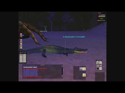 KILLING RED CROCS IN OASIS!!! / Everquest Project 1999 green / Part 12 / Dark Elf Necromancer lvl 17