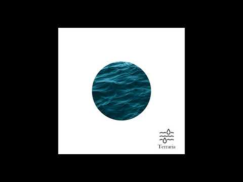 TRA019 : Ochu Laross, Andy Locotoo - Flow (Original Mix)