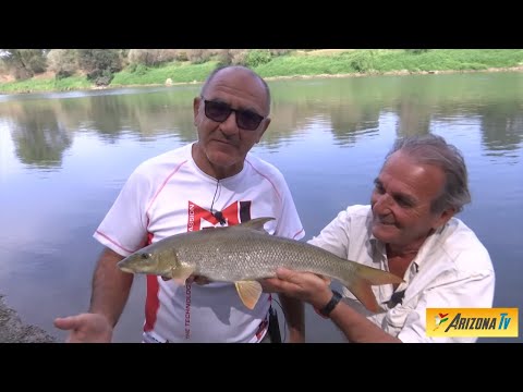 MONDO PESCA - I MASTINI DELLA PESCA - MAURIZIO TEODORO E MARIO MOLINARI - #pescasportiva #pesca
