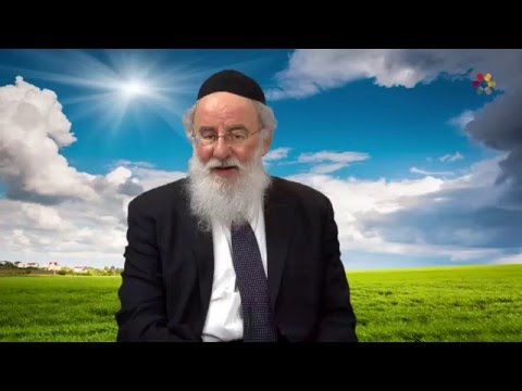 Rabbi Yehonason Alpren - Patience and Perseverance