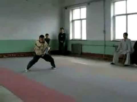 Tiger Form by Master Shi Yan Chen - Learn Traditional Martial Arts in China