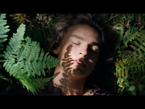 Hans Williams – "All Is Well" (Official Video)