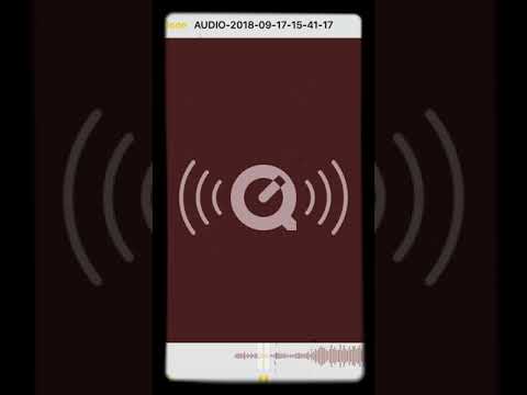 GMG - Everybody’s Trappin And Banging #Exclusive