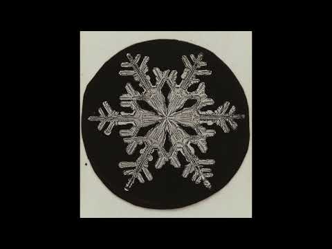 Siero - Piume & Spine