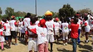 preview picture of video 'KFC mini cricket kids meet Zac, the Protea mascot'