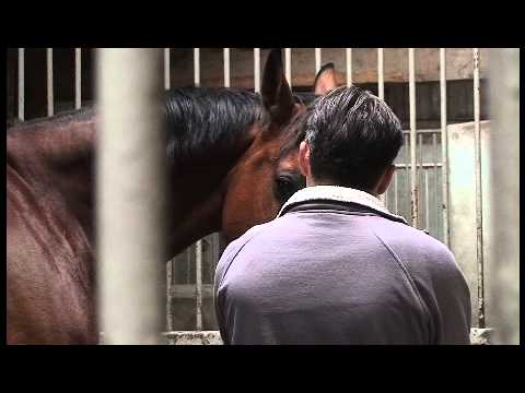 download lagu mp3 mp4 Equi Coaching France, download lagu Equi Coaching France gratis, unduh video klip Equi Coaching France