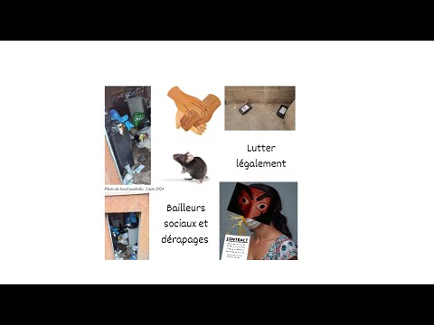 Stratégie pour lutter contre un bailleur social déviant - Attestation d’arrogance