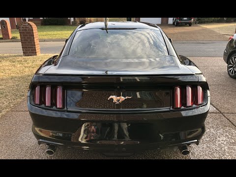 MBRP Race Series Cat-back on Mustang Ecoboost