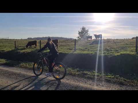 Bikademy Autumn Cycling
