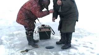 Рыбалка на печоре в усть-цильме