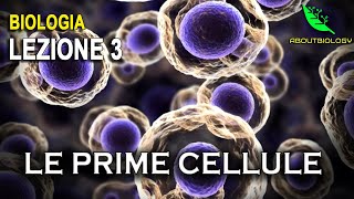 NASCITA delle CELLULE e TEORIA ENDOSIMBIONTICA (Pt.2)