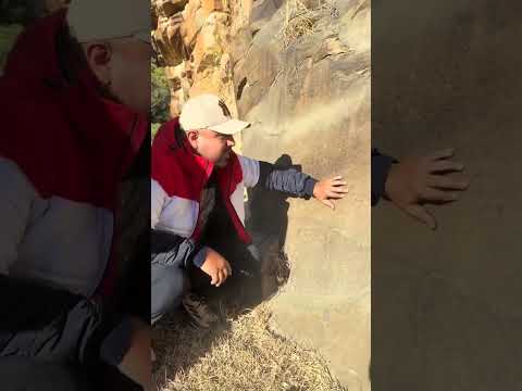 EnDirecto-Tja.Encuentran petroglifos en Padcaya #tarija