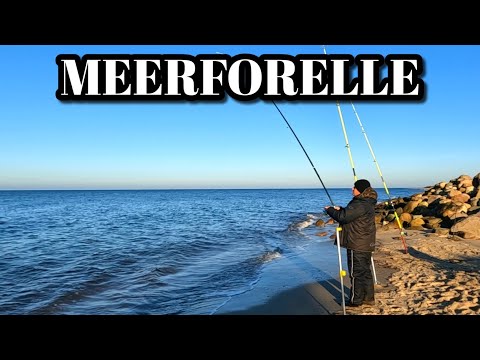 An absolutely brilliant rig for sea trout fishing from the shore. Surf fishing, December 2025