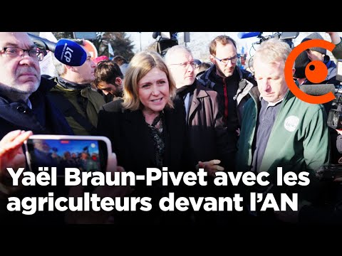 Farmers: Demonstration at the National Assembly - Agricultural Anger