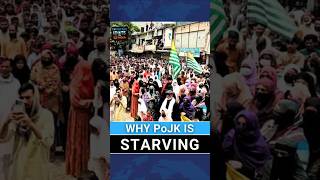 PoJK Food & Medicine Crisis: Mass Protests After Pakistan’s Crackdown