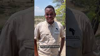Botswana: How to Survive a Safari!⁠ | Do