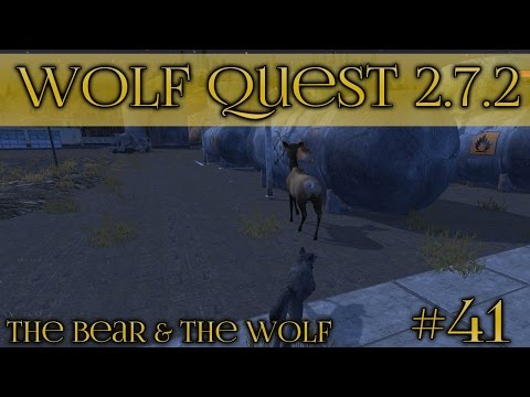Dangers of the City Elk!! 🐺 Wolf Quest 2.7.2 - Bear & Wolf Season 🐺 Episode #41
