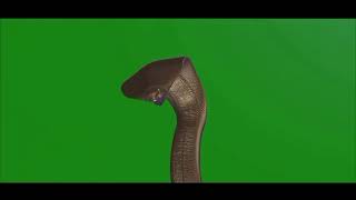 Download lagu nagin 6 ll sheshnagin green screen effect mp3